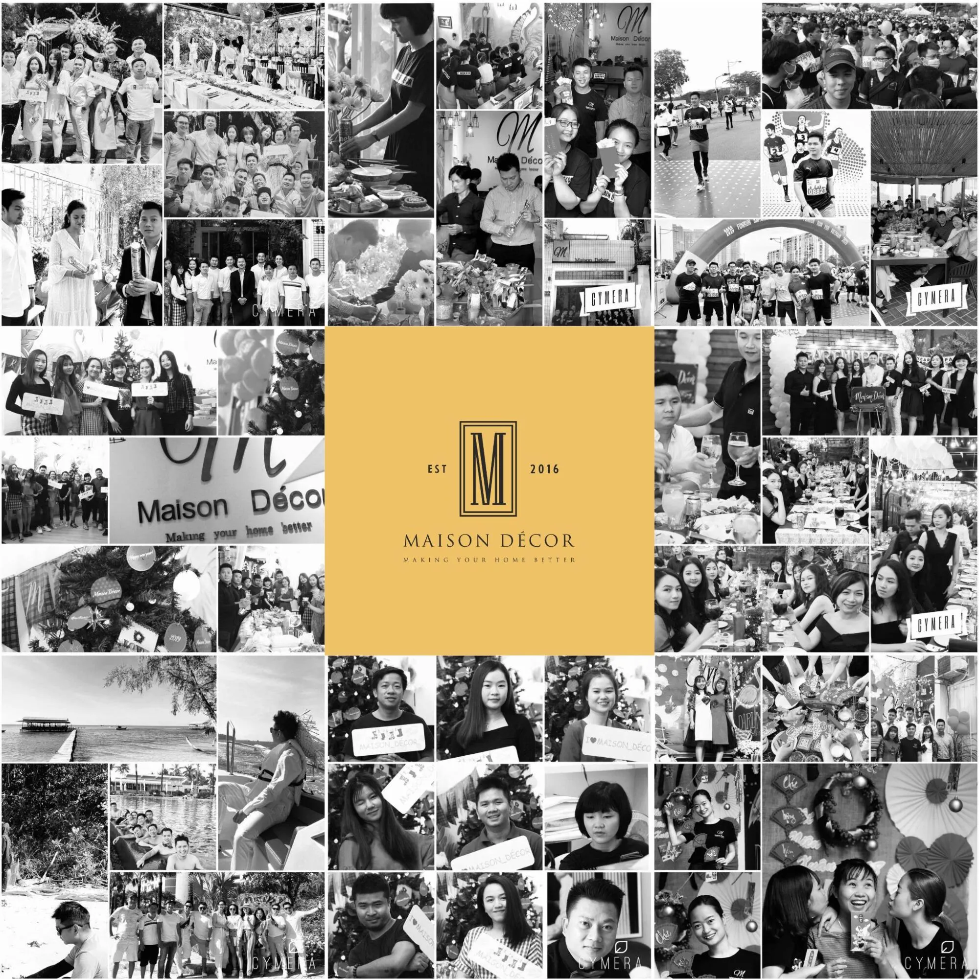 Maisondecor Professional