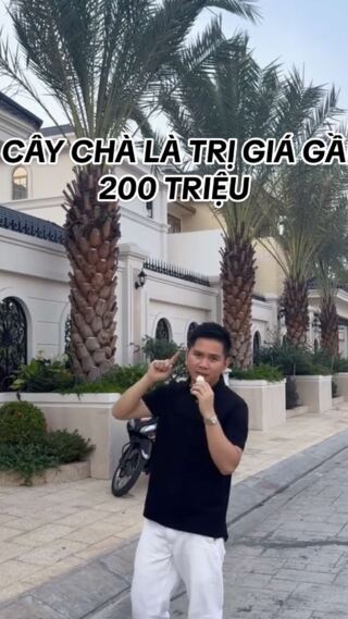 7 cây chà là trị giá gần 200 triệu